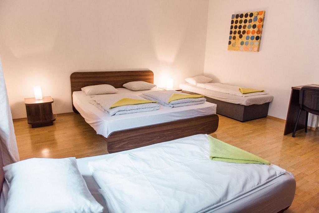 Lion Apartments In Historical Center, Bratislava Old Town Zewnętrze zdjęcie