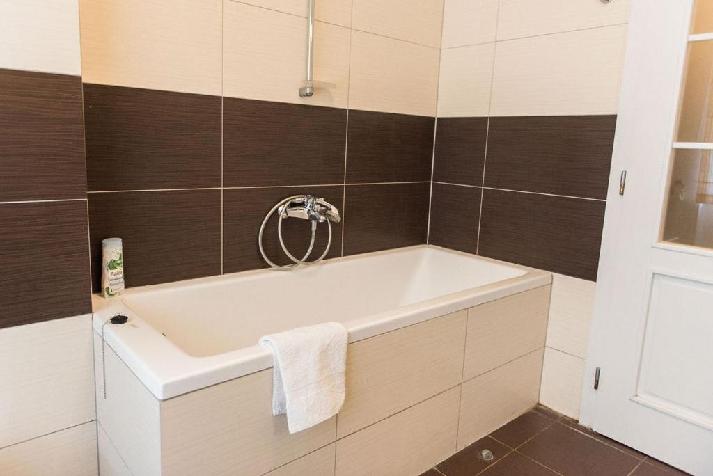 Lion Apartments In Historical Center, Bratislava Old Town Zewnętrze zdjęcie
